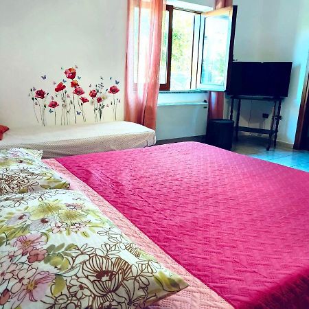 Casa Dei Giunchi Hotel Olbia Bagian luar foto